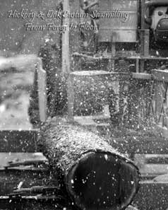 Sawmilling in action