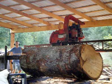 White Oak on Mill